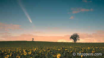 Using Lightroom to Restore Vibrant Colors in Night Photography