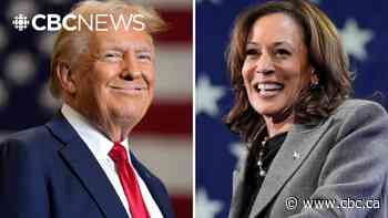 What do Canadians think of the U.S. election?