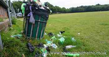 New by-law to fine dog owners who don't clean up poo will be explored