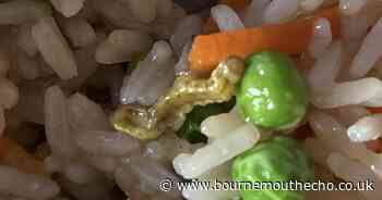 Woman horrified after finding maggot in freezer meal