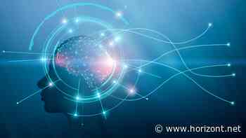 Responsible Media: So wird digitale Werbung effizienter und emissionsarm