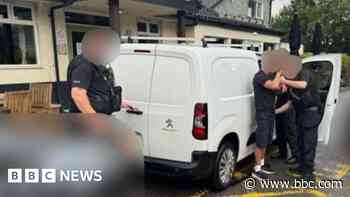 White van man arrested following distraction theft