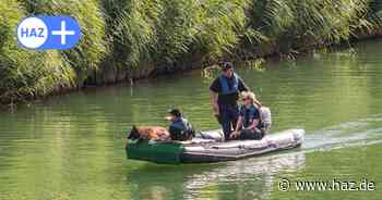 Cold Cases Hannover: Diese sieben Mordfälle sind bis heute ungelöst