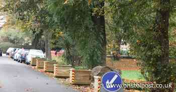 Planters installed around Bristol park to stop van dwellers coming back after eviction