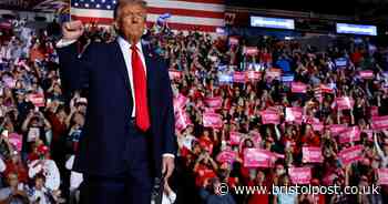 Brits in USA offered emergency flights home after Donald Trump victory