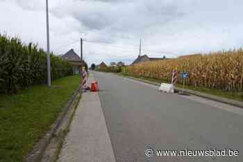Nieuwe testopstelling Kolonel Naessensstraat vangt opnieuw kritiek, maar verdwijnt deze week nog