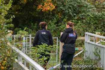 Live: Police and forensics teams spotted in quiet Bristol cul-de-sac