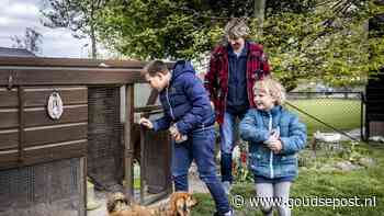 Nieuwe steunouders altijd welkom: ‘het voelde gelijk goed’
