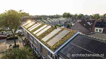 ROEF wint Hans de Jonge Start-up Award 2024