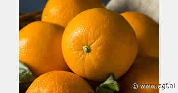 Verwachtingen Spaans citrusseizoen moeten worden bijgesteld na DANA