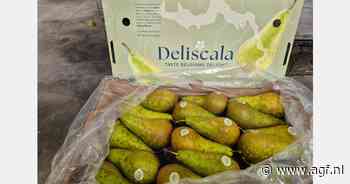 "Jaren als vorig seizoen laten zien dat we nieuwe markten moeten aanboren"