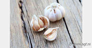 Spaans knoflookareaal daalde voor het derde jaar op rij