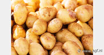 Saudi-Arabië is voor 86% zelfvoorzienend in de aardappelteelt