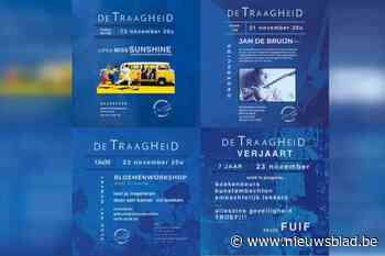 De Traagheid viert zevende verjaardag met bloemen, boeken, film en muziek