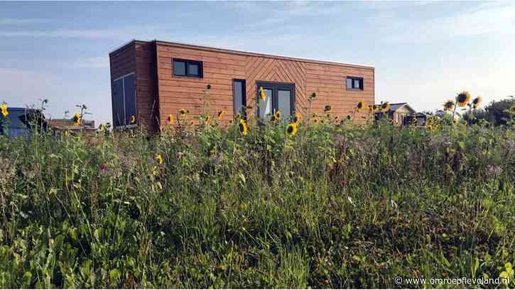 Lelystad - Belangstelling voor Tiny Houses zo klein dat raad het gebied wil vrijgeven voor andere woningbouw