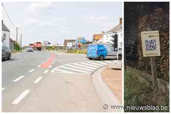 Buurtbewoners Herzeelse N42 starten petitie tegen tijdelijke verkeerslichten: “We pikken het niet meer”