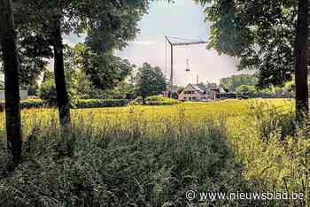 Gemeente organiseert infomoment over nieuwe plannen voor open ruimte