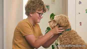 Dentsu wint Figo Pet in Benelux en Duitsland na mediapitch