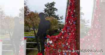Wirral school displays its poppies with pride