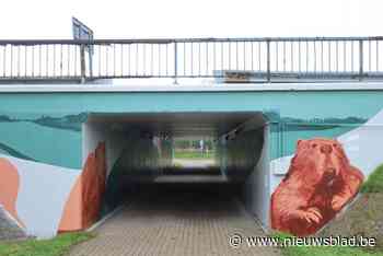 Tunnel onder Fabiolalaan opgeleukt met graffiti