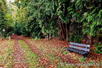 Man (72) zwaar toegetakeld door fietser: “Dader stapte naar politie omdat zijn foto op sociale media stond en klacht wou indienen”