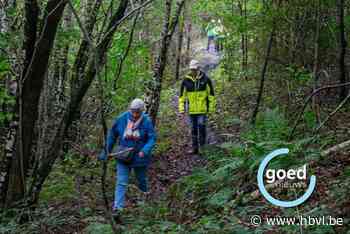 De Heikneuters uitgeregend op laatste maandagwandeling