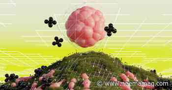 Why Humans Innately Distrust Other Forms Of Intelligence