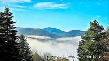 Finanzielle Nöte: Bad Herrenalb muss Sparwillen zeigen