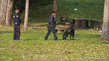 Woman who went missing in Etobicoke found safe