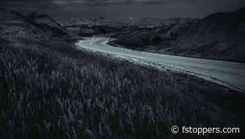 In an Instant World, Why Camera Stores Are Built to Last