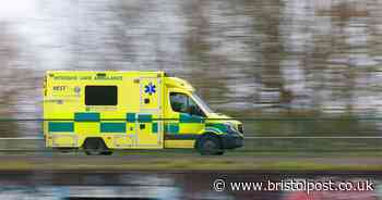 Young BMW driver crashed into tree after failing to stop for police near Flax Bourton