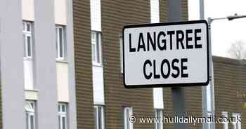 Arrest after '100 cannabis plants' found inside Hull house