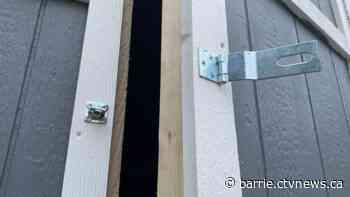 Series of overnight break-ins under investigation in Collingwood