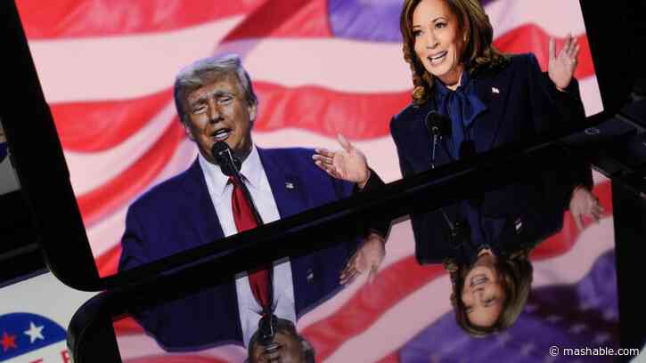 6 election results livestreams to follow the latest updates online