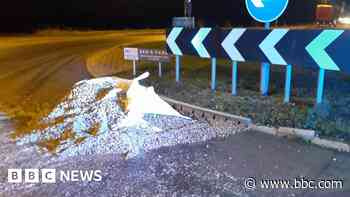 Tonne of cockles covers road as lorry splits open