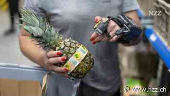 Der Schweiz geht das Personal aus. Ohne Zuwanderung könnten in neun Jahren 460 000 Vollzeitbeschäftigte fehlen