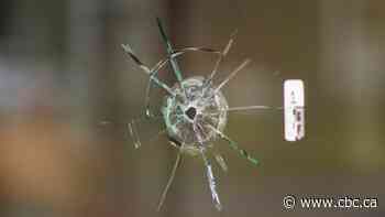 Gun violence is on the rise in Canada. In parts of the Greater Toronto Area, it's a record-breaking year