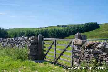 Victims of on-farm crime asked about experiences for new study