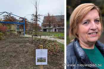 Merelplein getransformeerd tot Merelpark: “Nieuwe groene long in meest verharde gemeente van Vlaanderen”