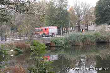 Lichaam aangetroffen in park in Roeselare