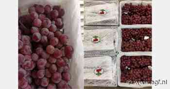 Matige export Chinese rode druiven doet nadenken over rassenvernieuwing