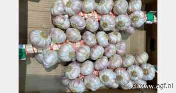 "We dachten het record verbrokoen te hebben, maar de prijzen blijven stijgen"