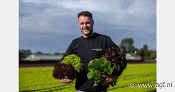 "Franse sla sluit naadloos aan op ons zomerseizoen"