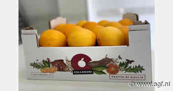 Goede verwachtingen voor Siciliaans citrusseizoen