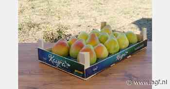 "Turks perenseizoen Santa Maria begint goed"