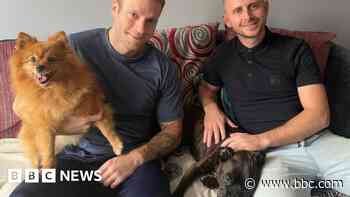 Rail workers adopt dog found starving near tracks