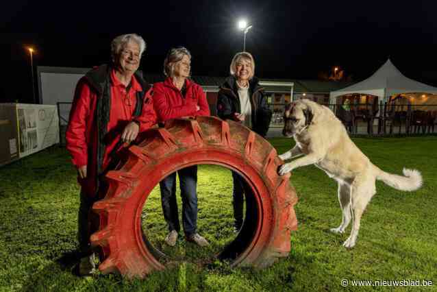 Experts niet overtuigd van verplichte les voor ‘gevaarlijke’ honden: “Hondenscholen zijn er niet om probleemgedrag op te lossen”