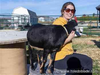 Animals find a 'furever' home at Pemberville sanctuary