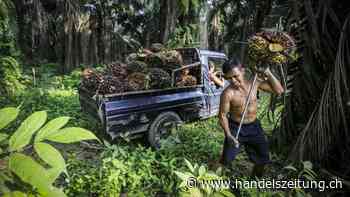 Teil des Problems, aber auch der Lösung