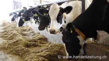 Gewappnet für die Ernährung der Zukunft